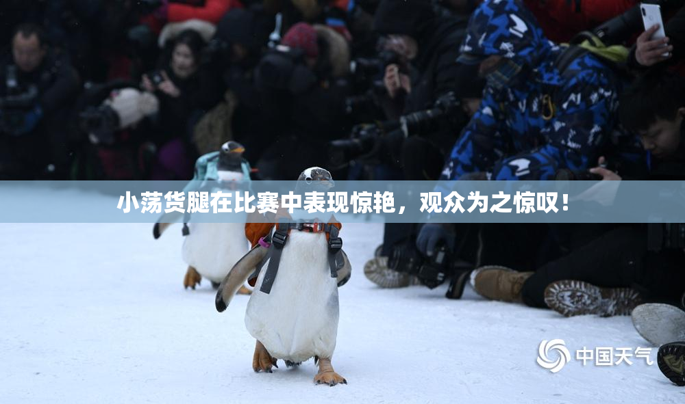 小荡货腿在比赛中表现惊艳，观众为之惊叹！