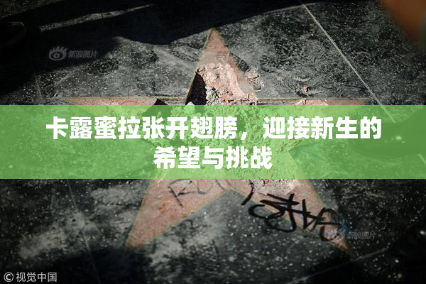 卡露蜜拉张开翅膀，迎接新生的希望与挑战