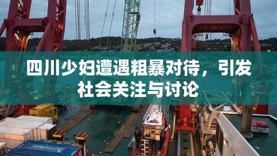 四川少妇遭遇粗暴对待，引发社会关注与讨论