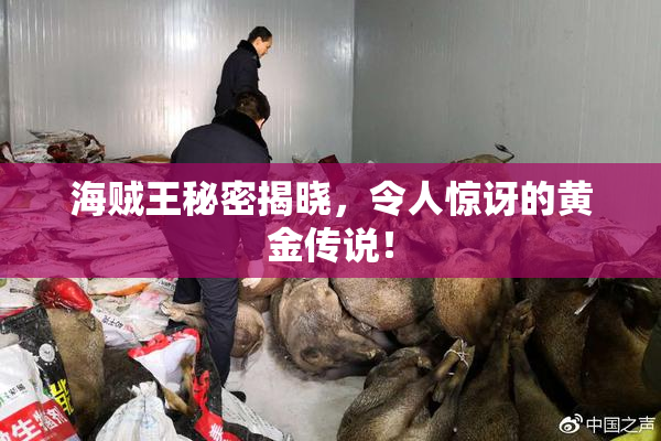 海贼王秘密揭晓，令人惊讶的黄金传说！