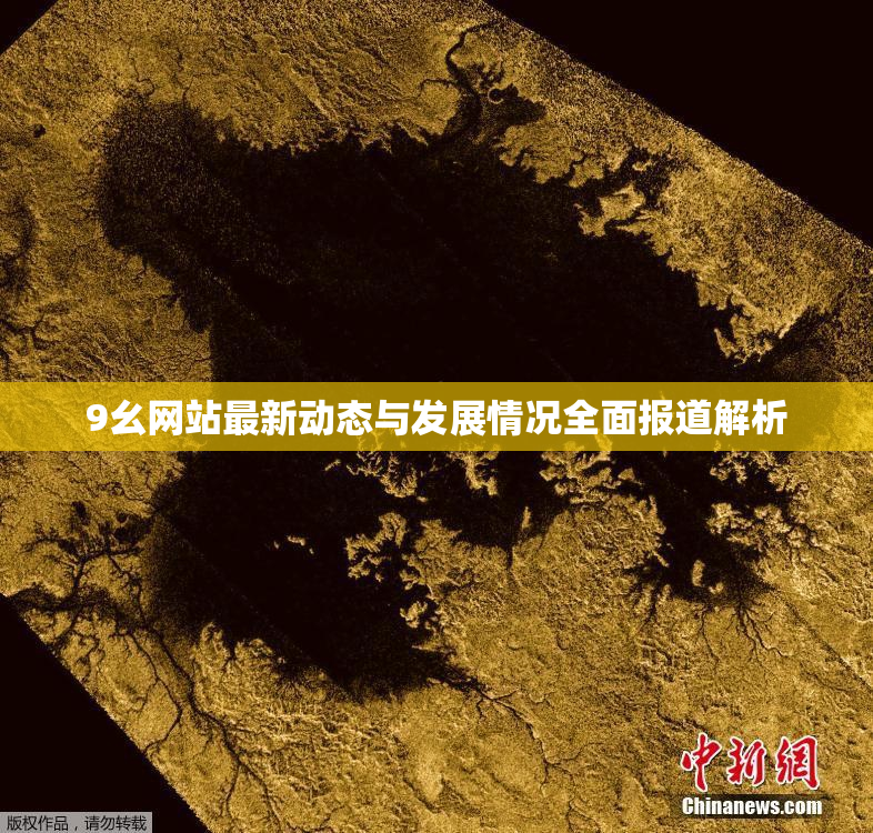 9幺网站最新动态与发展情况全面报道解析