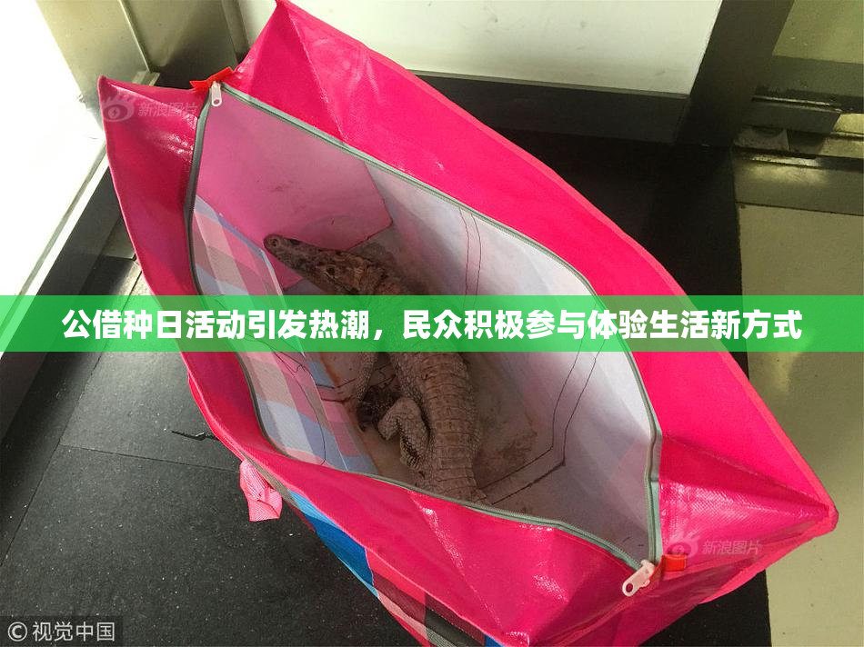 公借种日活动引发热潮，民众积极参与体验生活新方式