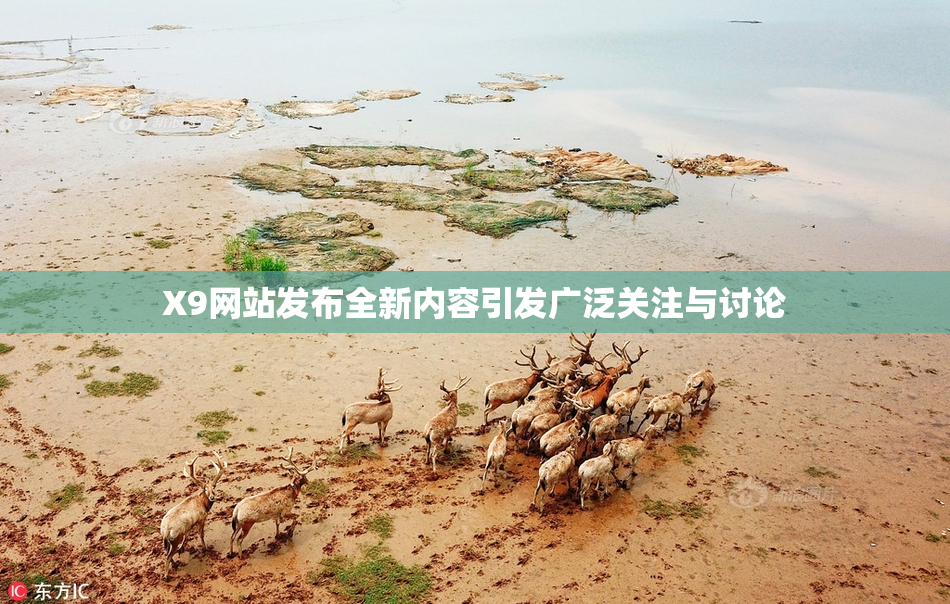 X9网站发布全新内容引发广泛关注与讨论