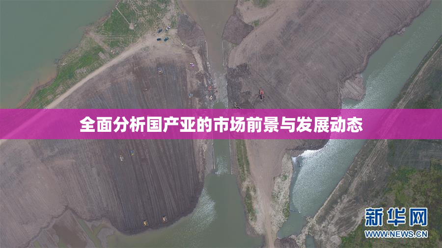 全面分析国产亚的市场前景与发展动态