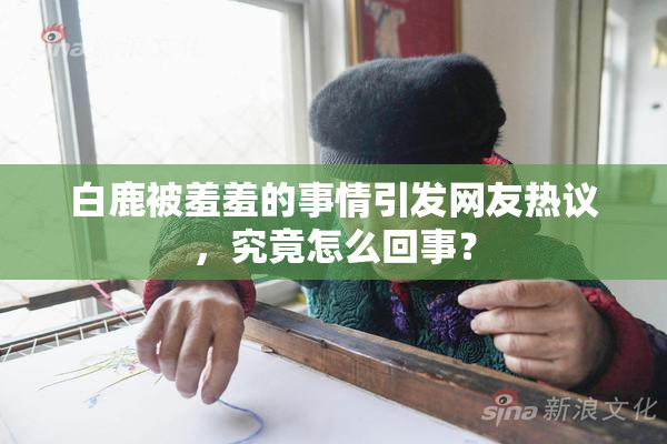 白鹿被羞羞的事情引发网友热议，究竟怎么回事？