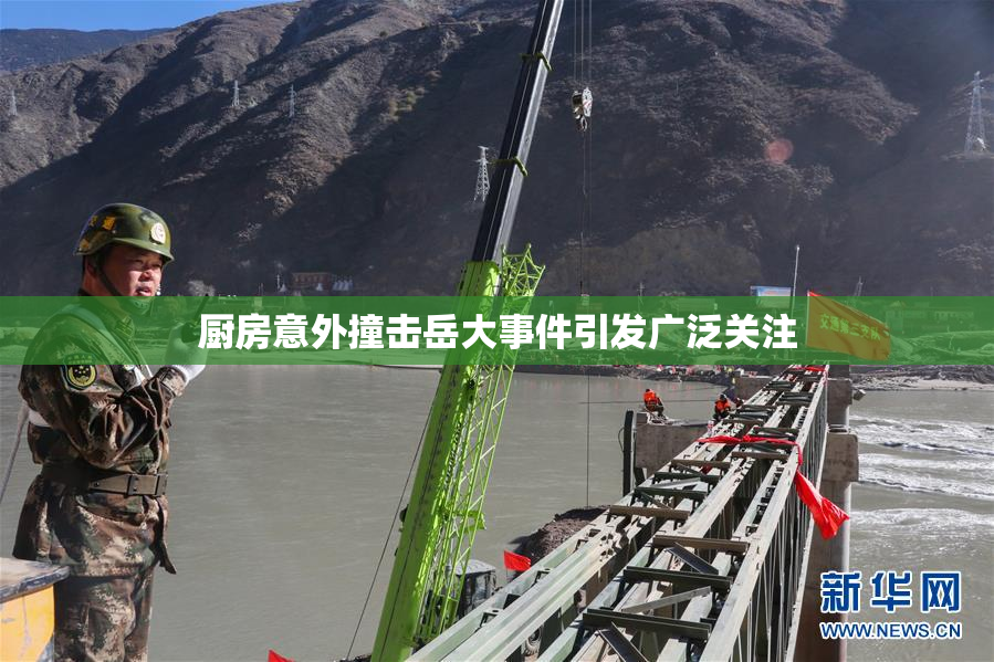 厨房意外撞击岳大事件引发广泛关注