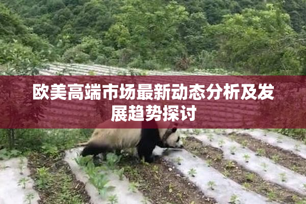 欧美高端市场最新动态分析及发展趋势探讨