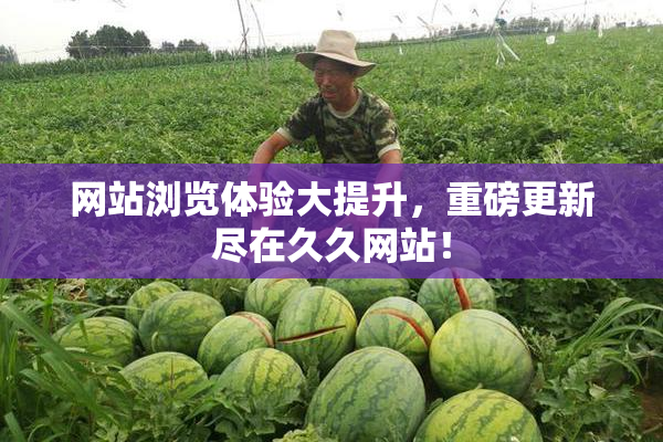 网站浏览体验大提升，重磅更新尽在久久网站！