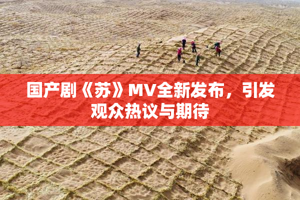 国产剧《苏》MV全新发布，引发观众热议与期待