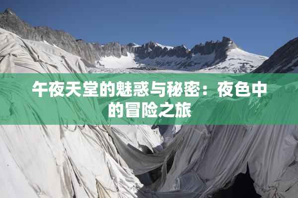 午夜天堂的魅惑与秘密：夜色中的冒险之旅