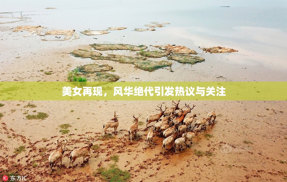 美女再现，风华绝代引发热议与关注