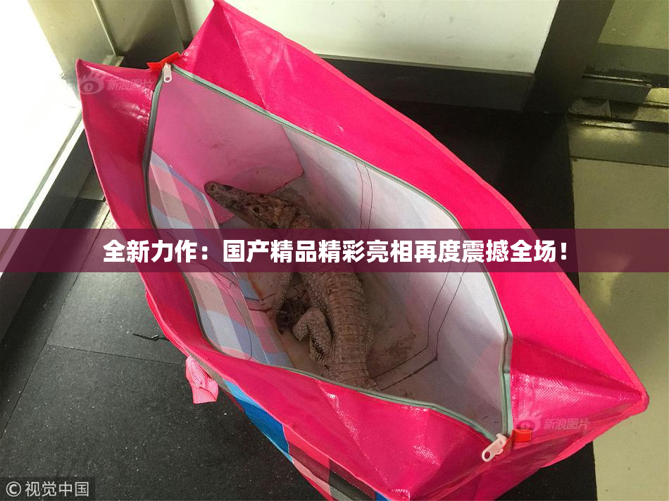 全新力作：国产精品精彩亮相再度震撼全场！
