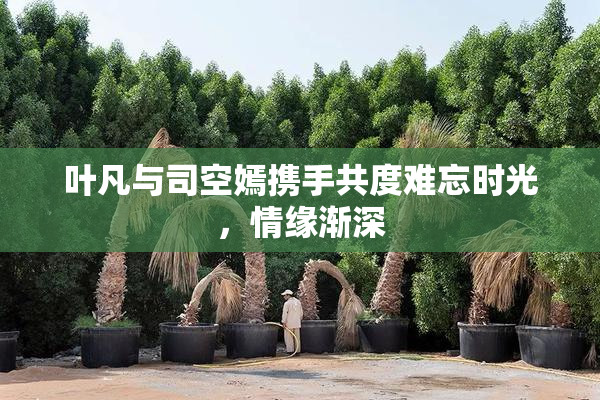 叶凡与司空嫣携手共度难忘时光，情缘渐深