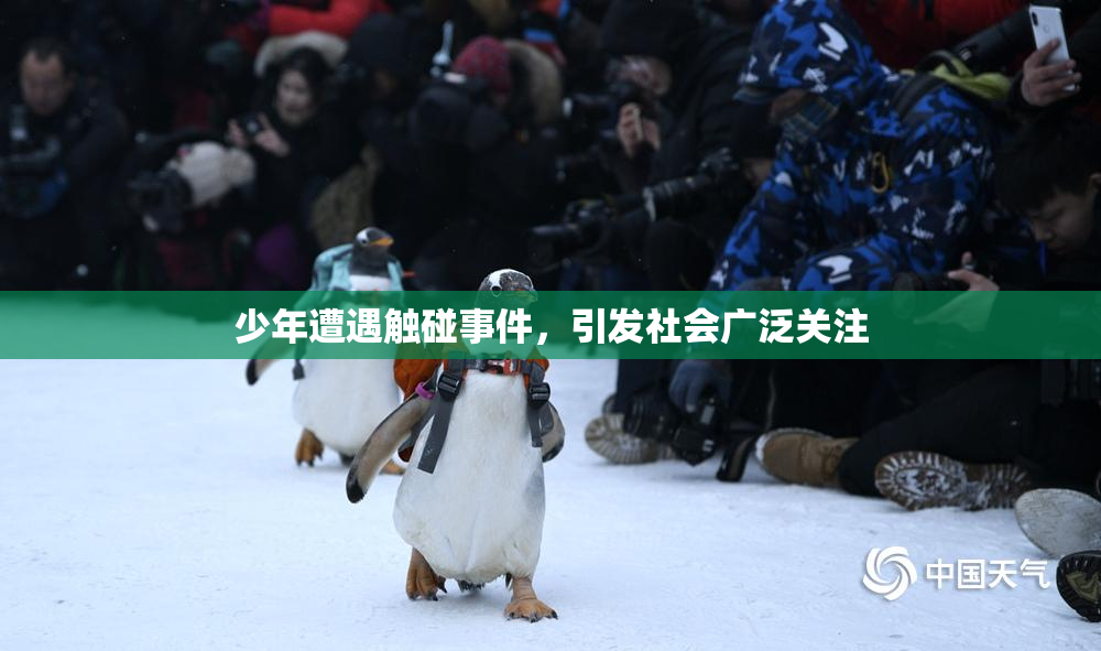 少年遭遇触碰事件，引发社会广泛关注