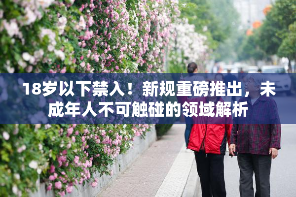18岁以下禁入！新规重磅推出，未成年人不可触碰的领域解析