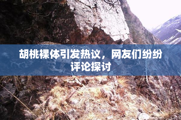 胡桃裸体引发热议，网友们纷纷评论探讨