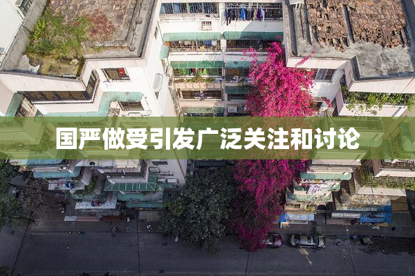 国严做受引发广泛关注和讨论