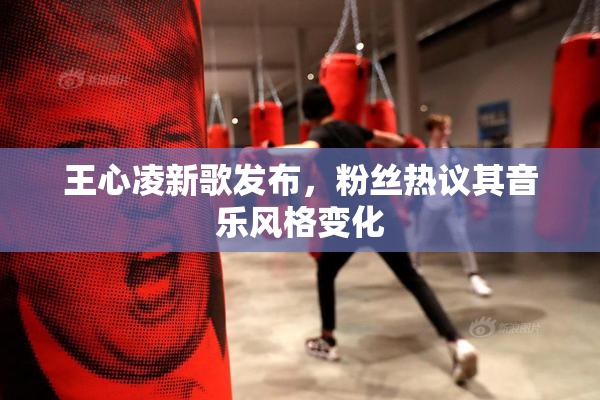 王心凌新歌发布，粉丝热议其音乐风格变化