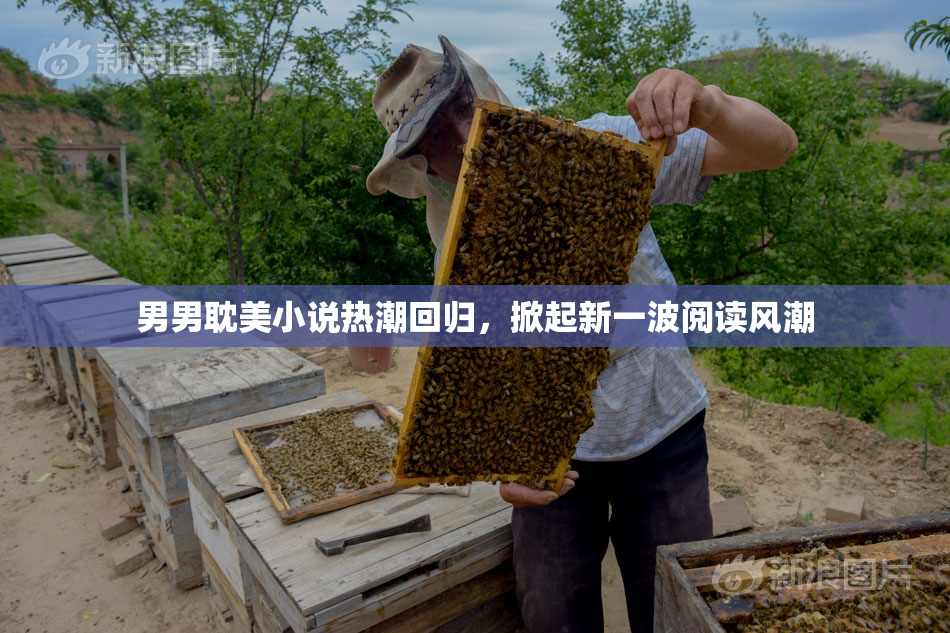 男男耽美小说热潮回归，掀起新一波阅读风潮