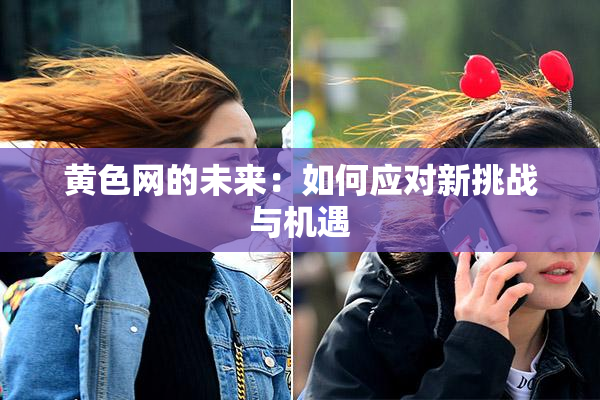 黄色网的未来：如何应对新挑战与机遇