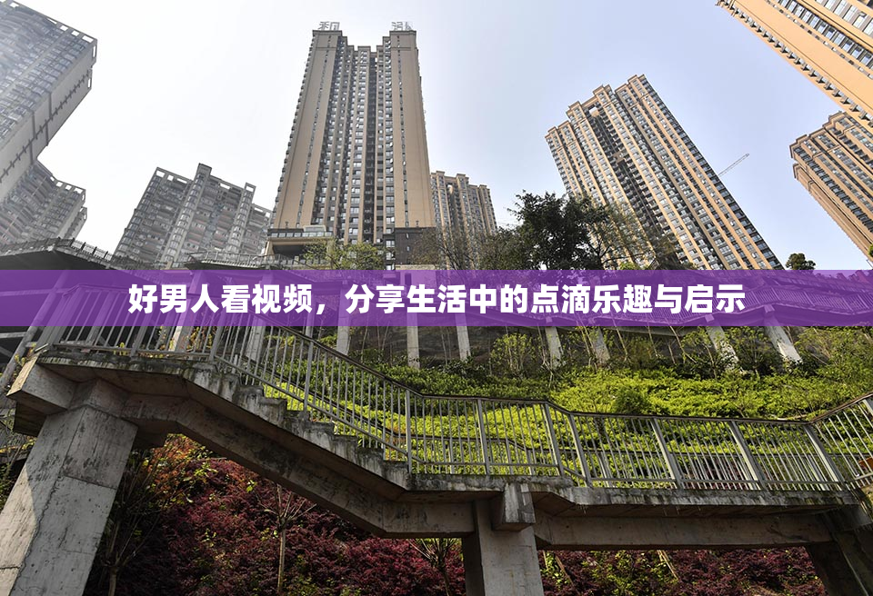好男人看视频，分享生活中的点滴乐趣与启示