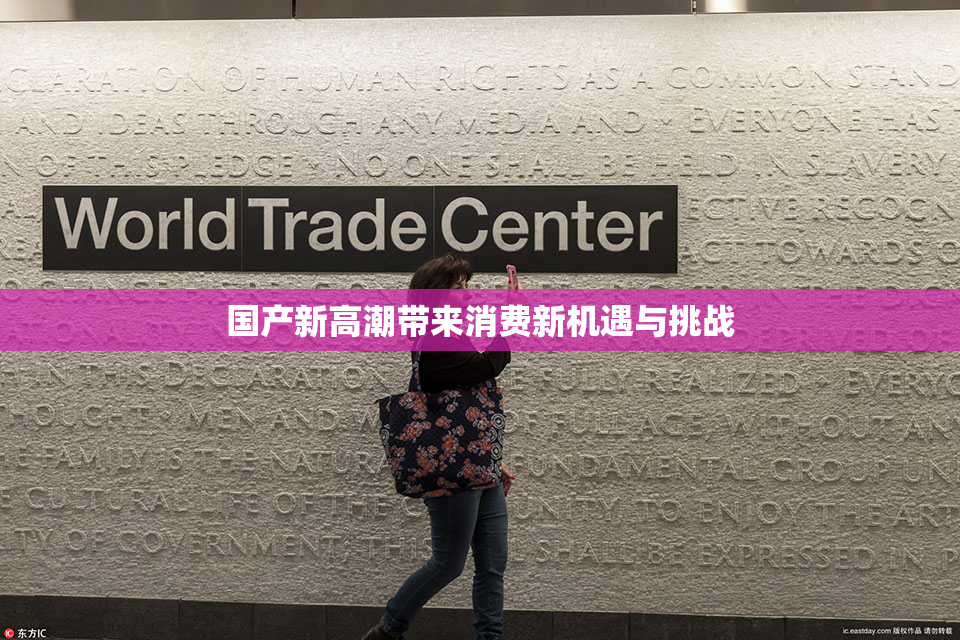 国产新高潮带来消费新机遇与挑战