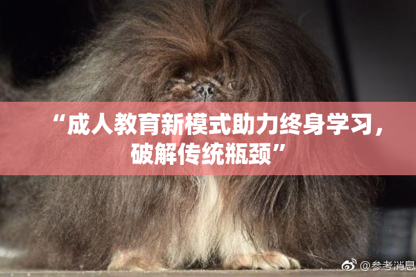 “成人教育新模式助力终身学习，破解传统瓶颈”