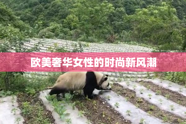 欧美奢华女性的时尚新风潮