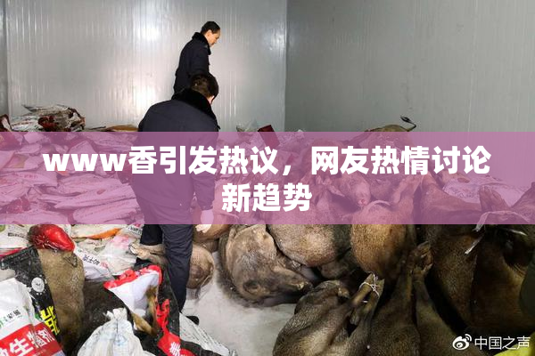 www香引发热议，网友热情讨论新趋势