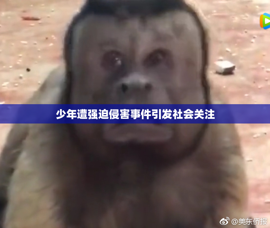 少年遭强迫侵害事件引发社会关注