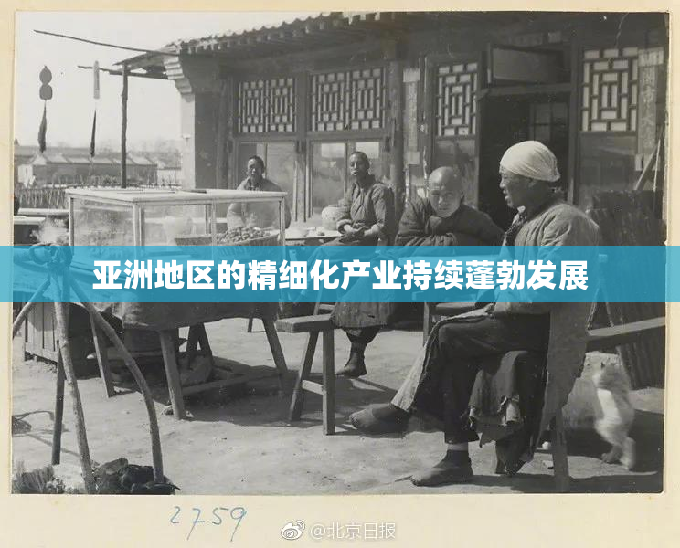 亚洲地区的精细化产业持续蓬勃发展