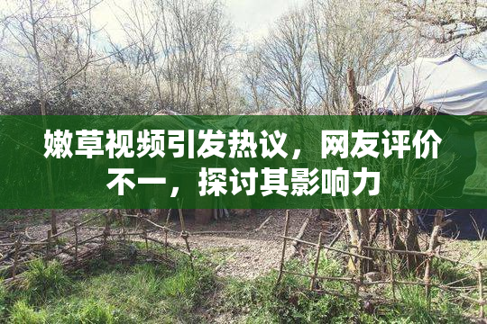 嫩草视频引发热议，网友评价不一，探讨其影响力
