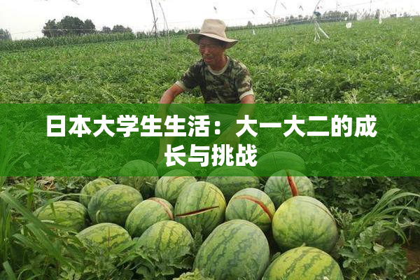 日本大学生生活：大一大二的成长与挑战