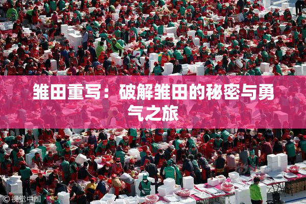 雏田重写：破解雏田的秘密与勇气之旅