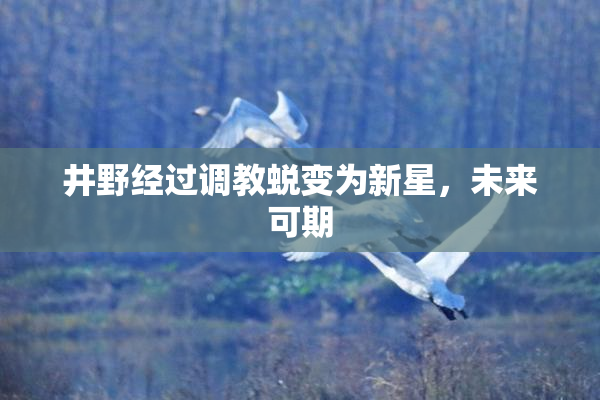 井野经过调教蜕变为新星，未来可期