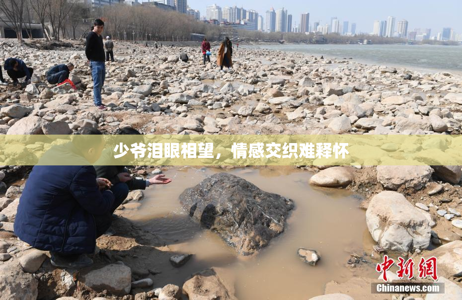 少爷泪眼相望，情感交织难释怀