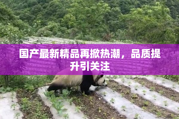 国产最新精品再掀热潮，品质提升引关注