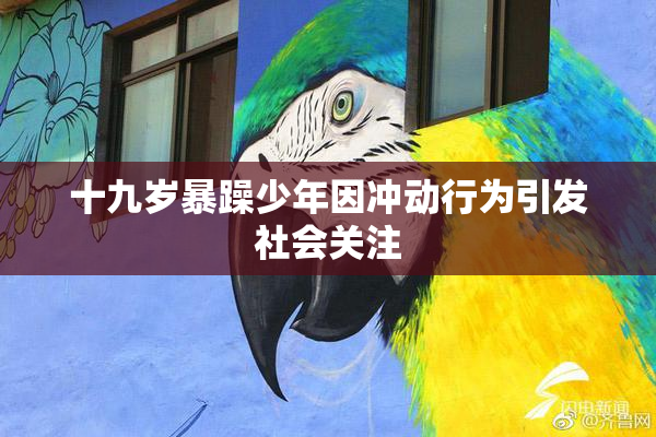 十九岁暴躁少年因冲动行为引发社会关注