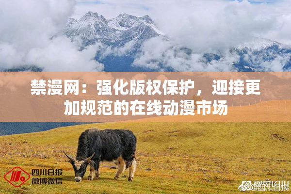 禁漫网：强化版权保护，迎接更加规范的在线动漫市场