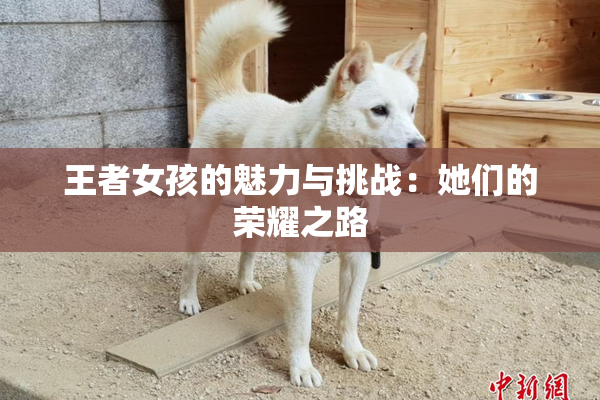 王者女孩的魅力与挑战：她们的荣耀之路