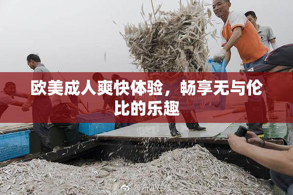 欧美成人爽快体验，畅享无与伦比的乐趣