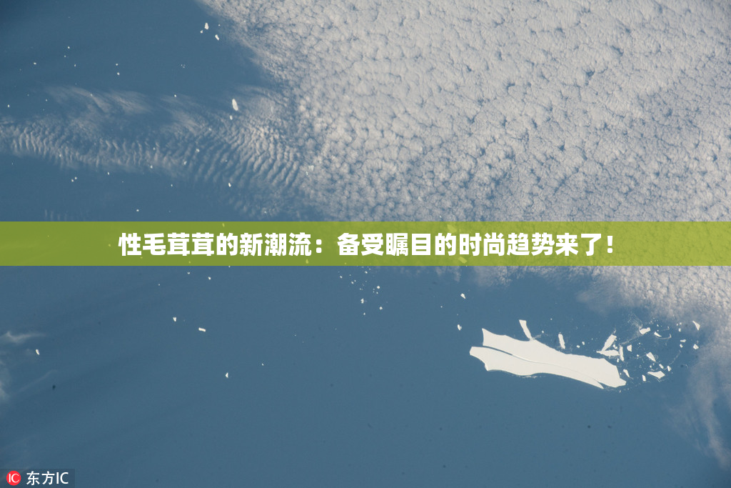 性毛茸茸的新潮流：备受瞩目的时尚趋势来了！