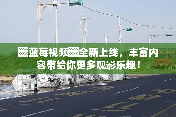▓蓝莓视频▓全新上线，丰富内容带给你更多观影乐趣！