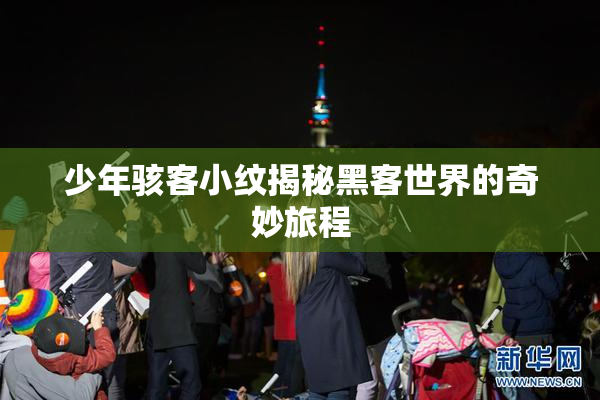 少年骇客小纹揭秘黑客世界的奇妙旅程