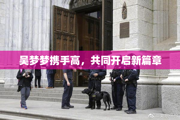 吴梦梦携手高，共同开启新篇章