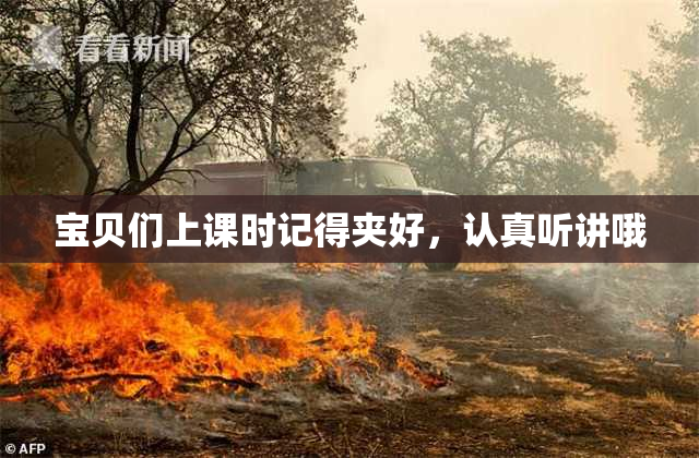 宝贝们上课时记得夹好，认真听讲哦