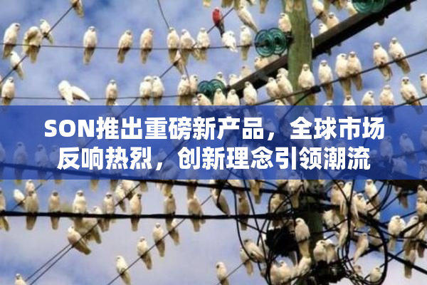 SON推出重磅新产品，全球市场反响热烈，创新理念引领潮流