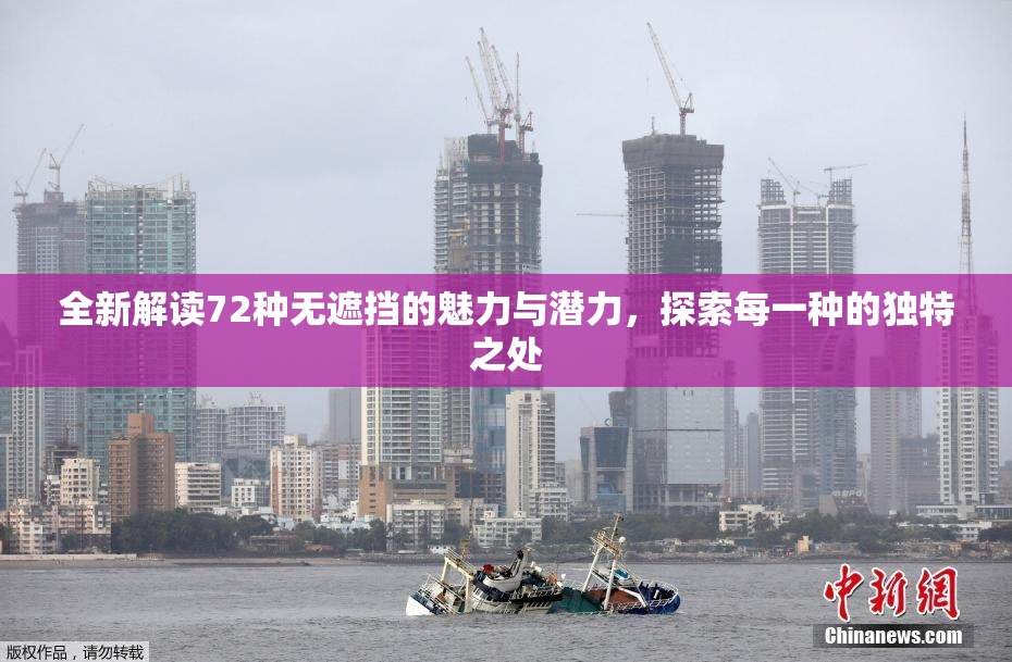 全新解读72种无遮挡的魅力与潜力，探索每一种的独特之处