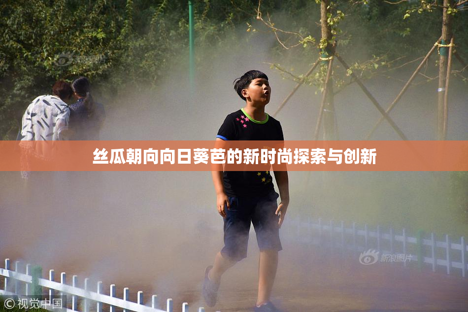 丝瓜朝向向日葵芭的新时尚探索与创新