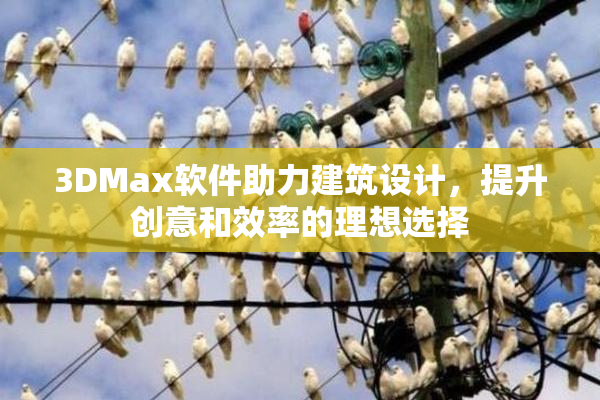 3DMax软件助力建筑设计，提升创意和效率的理想选择